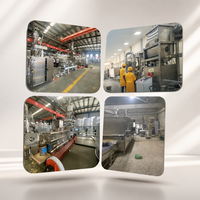 Ligne de production clé en main pour aliments pour bébés, machine de traitement de poudre de céréales nutritives, usine de fabrication de porridge instantané à double vis
