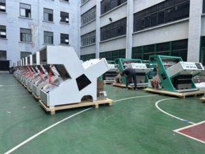 Photo Separator For <strong>Garlic</strong> Colour <strong>Sorting</strong> <strong>Machine</strong> In <strong>Sorting</strong> Unpeeled And Black <strong>Garlic</strong> In <strong>Garlic</strong> Processing Line - Product Image 5
