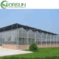 20X40Grand tunnel de jardin en métal classique en polycarbonate aluminium de taille personnalisée Serres agricoles pour roses