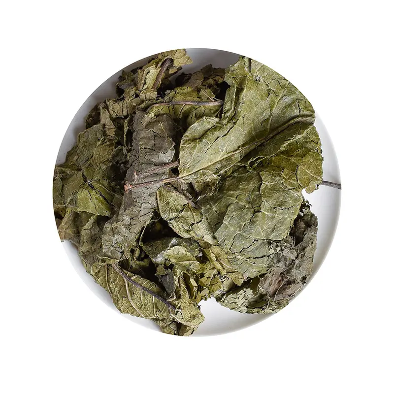 Du zhong yeユウコミアウルモイドの葉を含む清潔で不純な中国のハーブFolium eucommiaeの葉