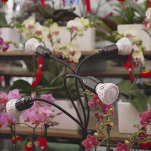 <b>Plant</b> Growth <b>Light</b> Long Term Work Is Less Prone to Overheating and Prolongs The Service Life Of Lighting Fixtures - Product Image 2