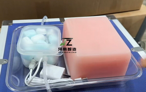 Nuevo Maniquí de Ultrasonido para Punción, Modelo de Entrenamiento Integral para Tumor Vascular y Quisto Nervioso - Product Image 6