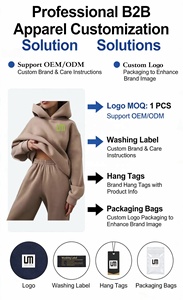 Conjunto de 2 Piezas de Sudadera Casual con Capucha y Pantalones Deportivos para Mujer de Otoño Invierno con Logo Personalizado al por Mayor, Productos en Tendencia - Product Image 2