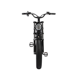 Vélo électrique tout-terrain LOOKROAD L20 MIN en stock dans l'UE |   Batterie amovible 48V 15.6Ah |   Vélo électrique hybride à pneus larges Shimano 7 vitesses - Product Image 3