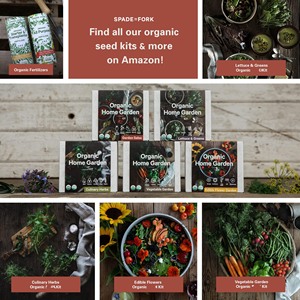 Certificado USDA Organic Non GMO Vegetable Garden Flower Greenhouse 5 Herb <span class=keywords><strong>San</strong></span> <span class=keywords><strong>Marzano</strong></span> Cherry Tomate Cajas de regalo baratas Uso del piso - Product Image 5