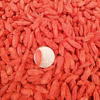 Ningxia Zhongning Goji Berry kering Premium 250g tas tersegel pabrik nutrisi tinggi ukuran besar 250g Per pak