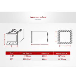 Controlador de Temperatura Inteligente de Dos Canales y Dos Vías con Pantalla Digital LED, Salidas de Alarma, Programación de Puntos de Referencia, Retención de Datos, <span class=keywords><strong>2</strong></span> Años de Garantía - Product Image 3
