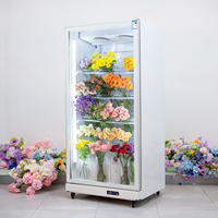 Réfrigérateur Vitrine 1 Porte pour Fleurs, Luxe, Économe en Énergie, Armoire Réfrigérée pour Fleurs Fraîches avec Compresseur