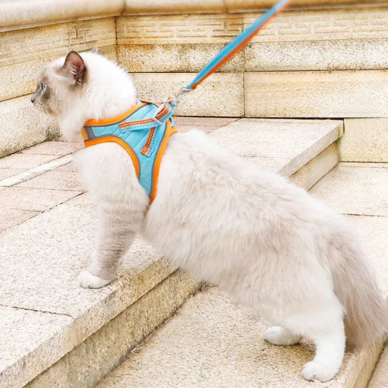통기성 작은 개 하네스 가죽 끈 밧줄에 새로운 디자인 단계 고양이를위한 편안한 스웨이드 애완 동물 하네스