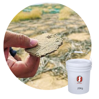 Agent de fixation du sable à forte perméabilité, écologique et durable, agent de consolidation liquide pour murs, polymère acrylique