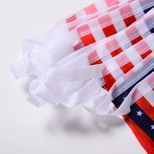 Bandera a cuadros promocional, banderines <span class=keywords><strong>de</strong></span> EE. UU., Juego <span class=keywords><strong>de</strong></span> 20 banderas <span class=keywords><strong>de</strong></span> países latinoamericanos personalizadas - Product Image 3