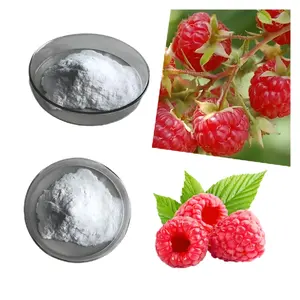 Mike Supply Raspberry Fruit Extract Raspberry Ketone 99% Natural Raspberry Ketone For Weight Loss