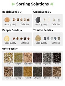 เครื่องคัดแยกและคัดแยกเมล็ดพริกแดงที่มีความแม่นยำ99.99% และเอาต์พุต2.4-5 t/h - Product Image 2