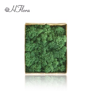 HFloral Vente en Gros – Boîte de 200g de Panneaux de Mousse Éternelle Verte Préservée pour Décoration Murale de Restaurant et Hôtel, Saint-Valentin, Longue Durée (3-5 ans) - Product Image 6