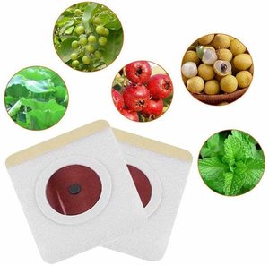 Parche Adelgazante Natural 100% Herbal para el Ombligo, Quema Grasa, Reduce el Abdomen, Blanco/Marrón, 5cm*5cm, 30 Unidades - Product Image 3