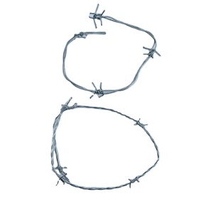 <span class=keywords><strong>Alambre</strong></span> <span class=keywords><strong>de</strong></span> púas <span class=keywords><strong>de</strong></span> Metal <span class=keywords><strong>de</strong></span> <span class=keywords><strong>acero</strong></span> inoxidable galvanizado <span class=keywords><strong>de</strong></span> alta calidad <span class=keywords><strong>Alambre</strong></span> <span class=keywords><strong>de</strong></span> hierro <span class=keywords><strong>de</strong></span> alta resistencia Venta directa <span class=keywords><strong>de</strong></span> fábrica - Product Image 4