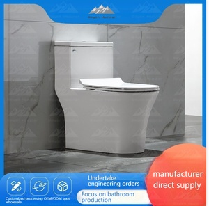 Wayon nhà vệ sinh siphonic tự làm sạch im lặng mới-Thiết kế nhỏ gọn phù hợp cho phòng tắm nhỏ - Product Image 2