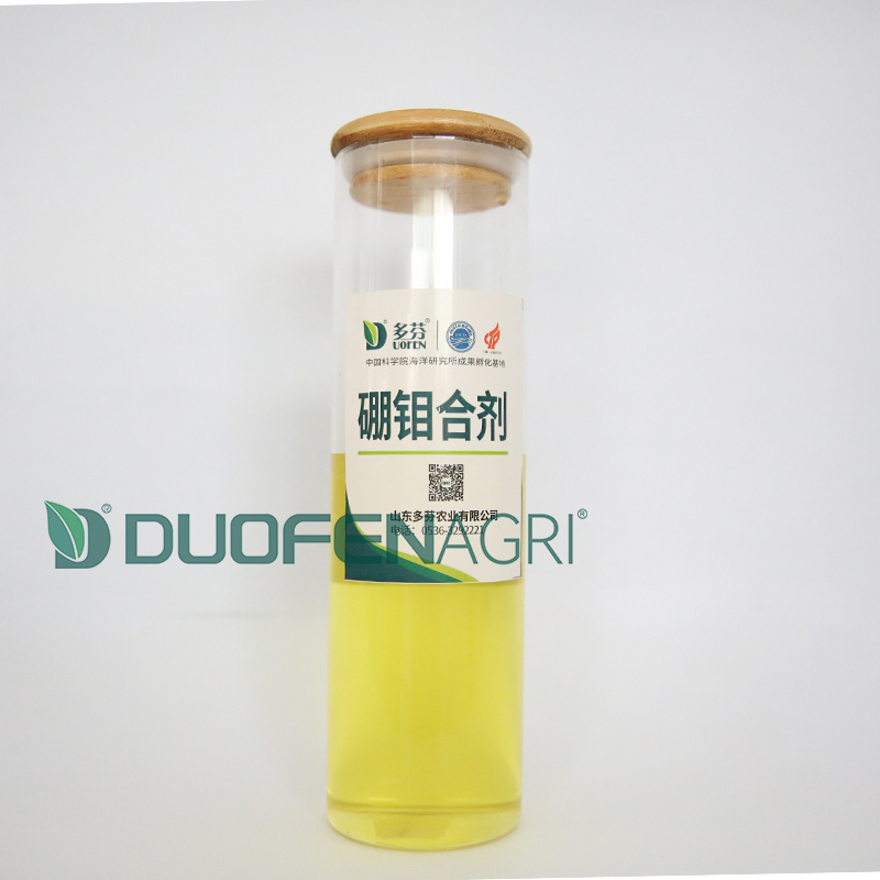 Wholesale 150g/L Boron Liquid Fertilizer for Root Growth image 4