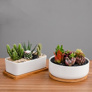Jardinière de fleurs blanche moderne, pot de bonsaï succulent simple, pot de <span class=keywords><strong>plante</strong></span> rond rectangulaire avec plateau <span class=keywords><strong>en</strong></span> <span class=keywords><strong>bois</strong></span> rectangulaire - Product Image 2