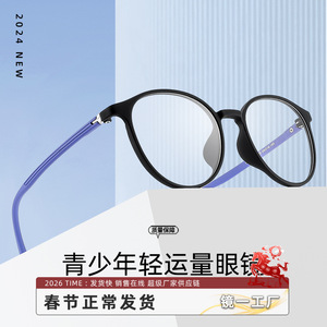 Montura de Gafas Redondas Danyang PPSU 1325 Ultraligeras de Marco Completo para Hombre, Gafas para Miopía con Diseño Ligero - Product Image 4