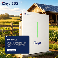 Batterie solaire de stockage d'énergie haute performance 51,2 V 200 Ah 10 kWh, montage mural, Deye RW-F10.2, batterie au lithium Lifepo4 pour la maison