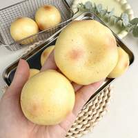 Jouet à presser en silicone en forme de pomme de terre, moelleux et craquant, rempli de billes, à remontée lente, fait main, pour ASMR, idéal comme cadeau