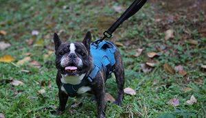 OKKPETS Arnés reflectante acolchado ajustable sin tirones con asa para caminar entrenamiento para perros grandes y uso portátil - Product Image 5