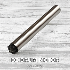 24V 48V DC PVC 드럼 모터 롤러(롤러 베어링 포함) 300kg 하중 용량, 창고, 호텔, 조립 라인 컨베이어용 - Product Image 2