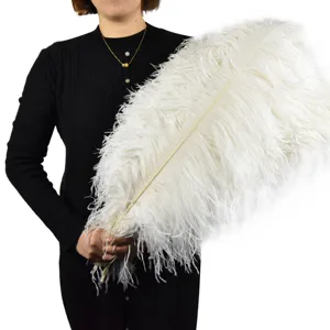 装饰销售婚礼粉色大摆件装饰鸟黑色70-75厘米白色鸵鸟羽毛派对装饰