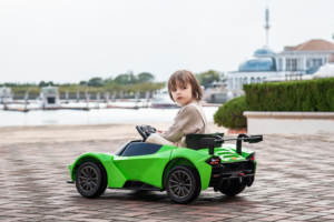 液压剪刀门12v 4. ah电动汽车差速器<span class=keywords><strong>3</strong></span>速调节<span class=keywords><strong>3</strong></span>颜色可选择带CE证书 - Product Image 5