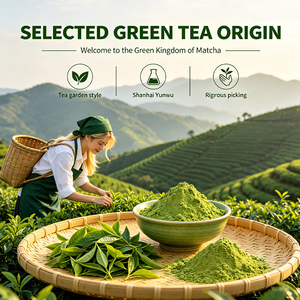<span class=keywords><strong>Matcha</strong></span> en Polvo con Sabor, Grado Ritual, Té Instantáneo Compatible con Cápsulas Nespresso, Certificado Orgánico en China, Certificado Halal, GMP - Product Image 2