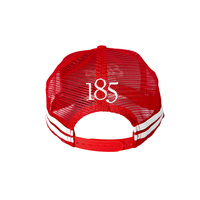 Sombrero de béisbol personalizado a rayas para deportes, venta al por mayor, 5 paneles, bordado 3D, bordado de camión, sombrero de camionero de malla de conductor rural