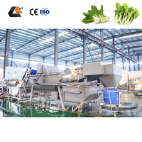 2000Kg/u Groentebladeren Reinigings- en Wasmachines Spinazie Snijmachine Groente Droogmachine Productielijn voor Verse Salades