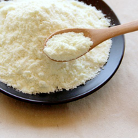 Poudre de lait instantanée sucrée et crème non laitière en poudre de noix de coco pour café, thé au lait, céréales – Prix direct usine Chine