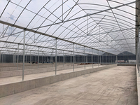Serre agricole circulaire en film plastique traité anti-UV pour la culture de tomates, avec structure tubulaire et couche unique pour la culture de légumes