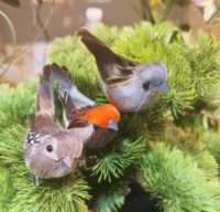 Lebensechter Spatz Miniatur-Kunstvogel mit echten Federn, handgefertigt, realistische Vogel-Dekoration oder interessantes Haarschmuck-Accessoire.
