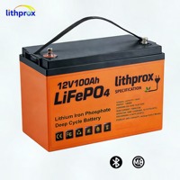 Ersatzakku für Mobilitätsroller 12V100AH 1,2KWh Premium Lithium-Eisenphosphat Vibrationsfest Umweltfreundlich für Medizinische Zwecke