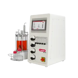 Lab1st Tiempo de entrega rápido Fermento de vidrio Biorreactor 5l Biorreactor