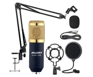 BM-800 LAIKESI BM-100 BM-700 BM-900 microfono a condensatore unidirezionale per Live XLR Pop filtro cablato canto microfono Allency
