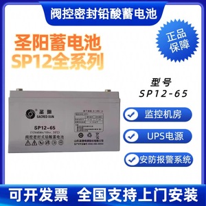 Batería de Plomo-Ácido Saint-Yang SP12-65 12V 65Ah para Uso Médico en UPS y EPS - Product Image 5