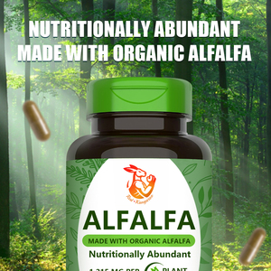 Suplemento para el Cuidado de la Salud, Cápsulas Orgánicas de Alfalfa para el Bienestar General, Aumentan la Energía, Cápsulas Naturales de Alfalfa a Base de Hierbas - Product Image 3
