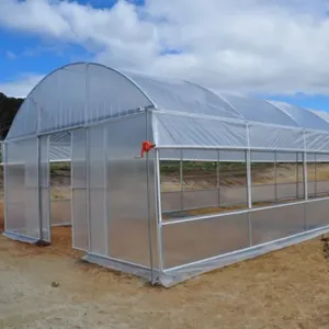 Cerceau de culture de légumes maison serre agricole à travée unique tunneling pour Offre Spéciale