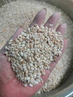 Nettoyeur de céréales, éplucheur de lentilles, pois et haricots d'Éthiopie avec machine à fendre