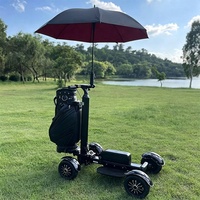 Voiturette de golf électrique pliable à 4 roues 48V 2400W pour adultes