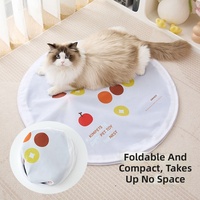 Jouet de chasse pour chat interactif moderne en plastique, mouvement automatique, divertissement autonome, portable, anti-stress, exercice intérieur