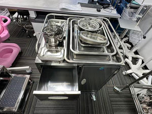 주문 제작 병원용 스테인리스 스틸 카트 트롤리 약품 트롤리 치료용 카트 - Product Image 3