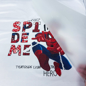 Film de gravure PET <span class=keywords><strong>professionnel</strong></span> YIBIER avec logo personnalisé pour impression numérique par <span class=keywords><strong>transfert</strong></span> thermique audacieuse sur vêtements et textiles - Product Image 1
