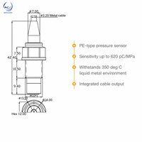 Capteur de pression piézoélectrique SSR pour environnements extrêmes 1-10MPa 350°C Résistant aux irradiations de métaux liquides F08GC0