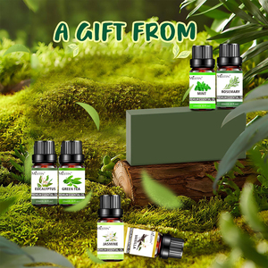 Difusor de Vidrio ODM OEM para Aceite Esencial Puro de Eucalipto y Agujas de Pino, Aroma Dulce, Hidratante para Todo Tipo de Piel - Confort para los Amantes - Product Image 6