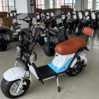 Feiwo X21 İki Tekerlekli Elektrikli Scooter 1000W/2000W Dijital Şişman Lastikli Disk Frenli Tam Süspansiyonlu 200kg Taşıma Kapasiteli